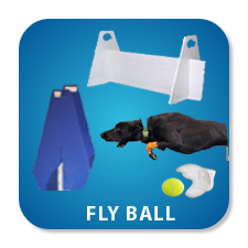 Max 200 Fly Ball Catalog