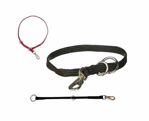 Picture for category Nylon Collars