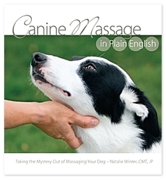 Canine Massage in Plain English