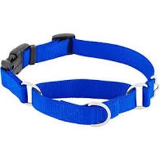 Picture for category Collars