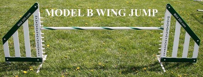 Model B Wing Jump