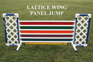 Panel Jump Lattice Wing 
