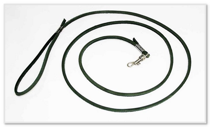 Max 200 Leather Shoelace Leads