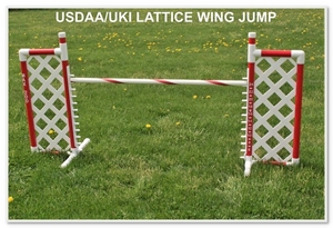 USDAA Lattice Wing Jump