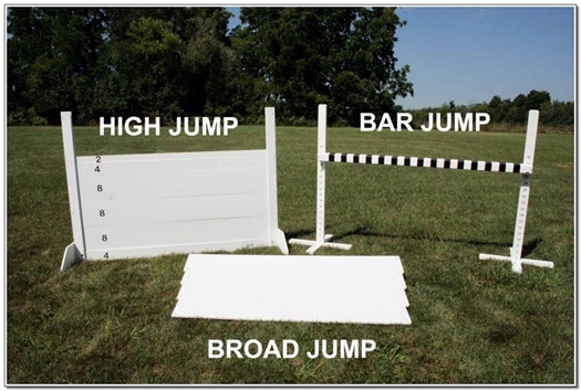 Picture for category Obedience Jumps