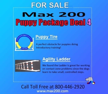 Puppy Package Deal #4