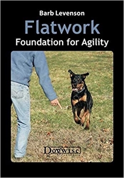 Picture of Flatwork-Foundation for Agility